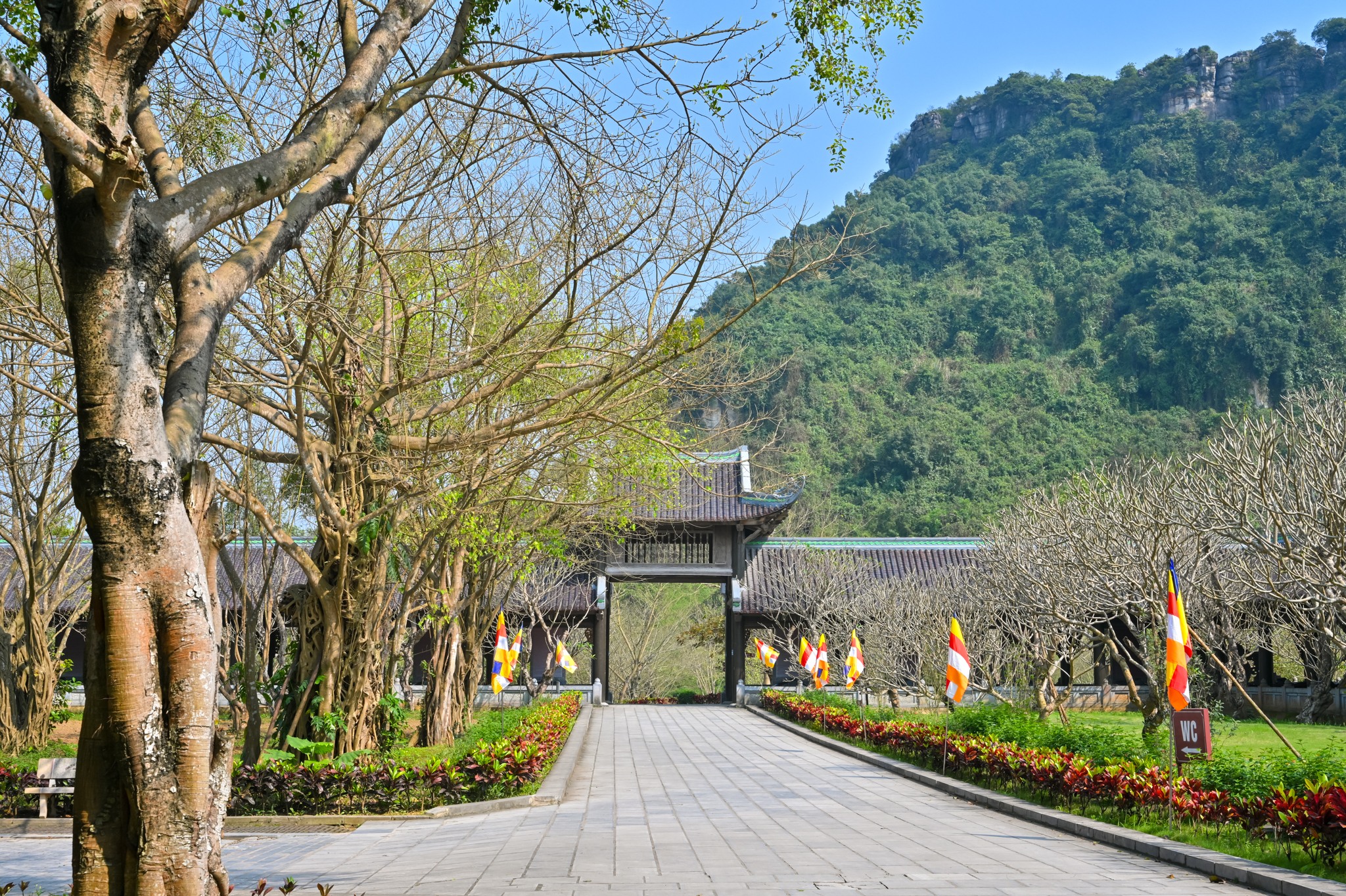 Chùa Bái Đính - một trong những điểm du lịch tâm linh nổi tiếng nhất ở Việt Nam, thu hút hàng triệu du khách mỗi năm.