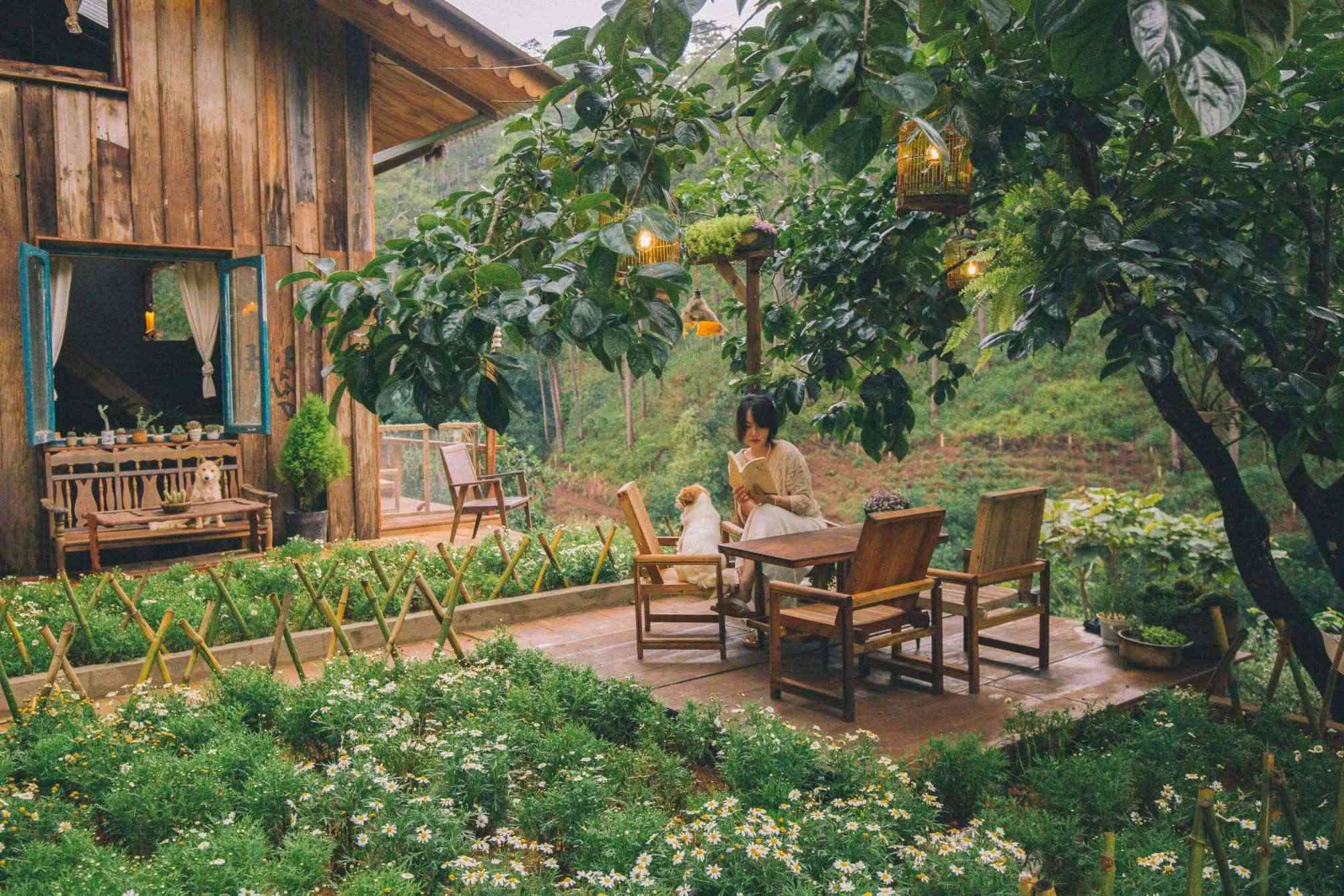 Khám Phá Đà Lạt 3 Ngày 2 Đêm - Những Điểm Đến Không Thể Bỏ Lỡ | Tourleva