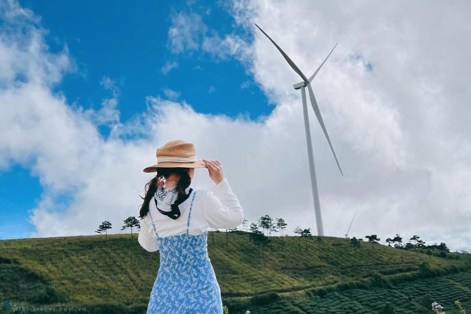 Khám Phá Đà Lạt 3 Ngày 2 Đêm - Những Điểm Đến Không Thể Bỏ Lỡ | Tourleva